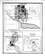 Hartland, Fleming, Parshallville, Livingston County 1875
